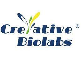 Creative-Biolabs